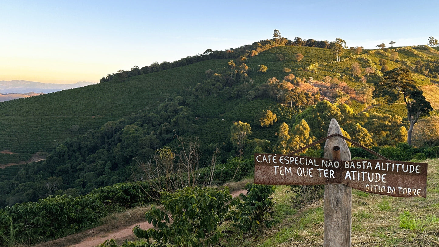 Kawa Ziarnista Specialty - Brazylia Nº5, Sitio Da Torre, Yeast Fermentation