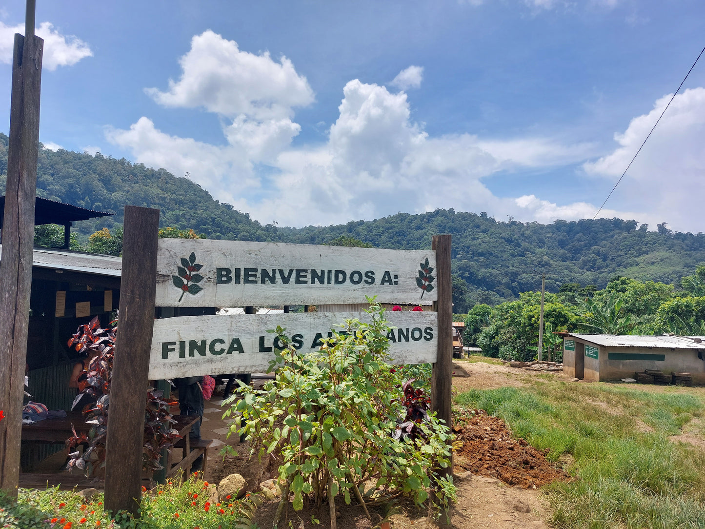 Nikaragua Nº2, Finca Los Altiplanos, Washed