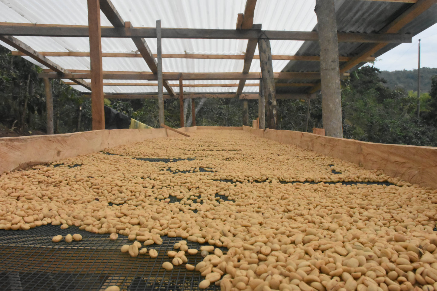 Nutty Filter Blend – Brazylia & Peru