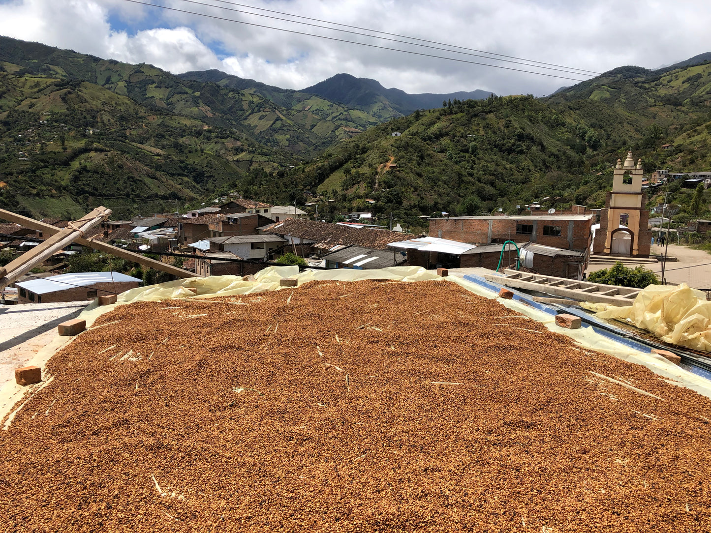 Kolumbia Nº12, Aponte Village, Honey