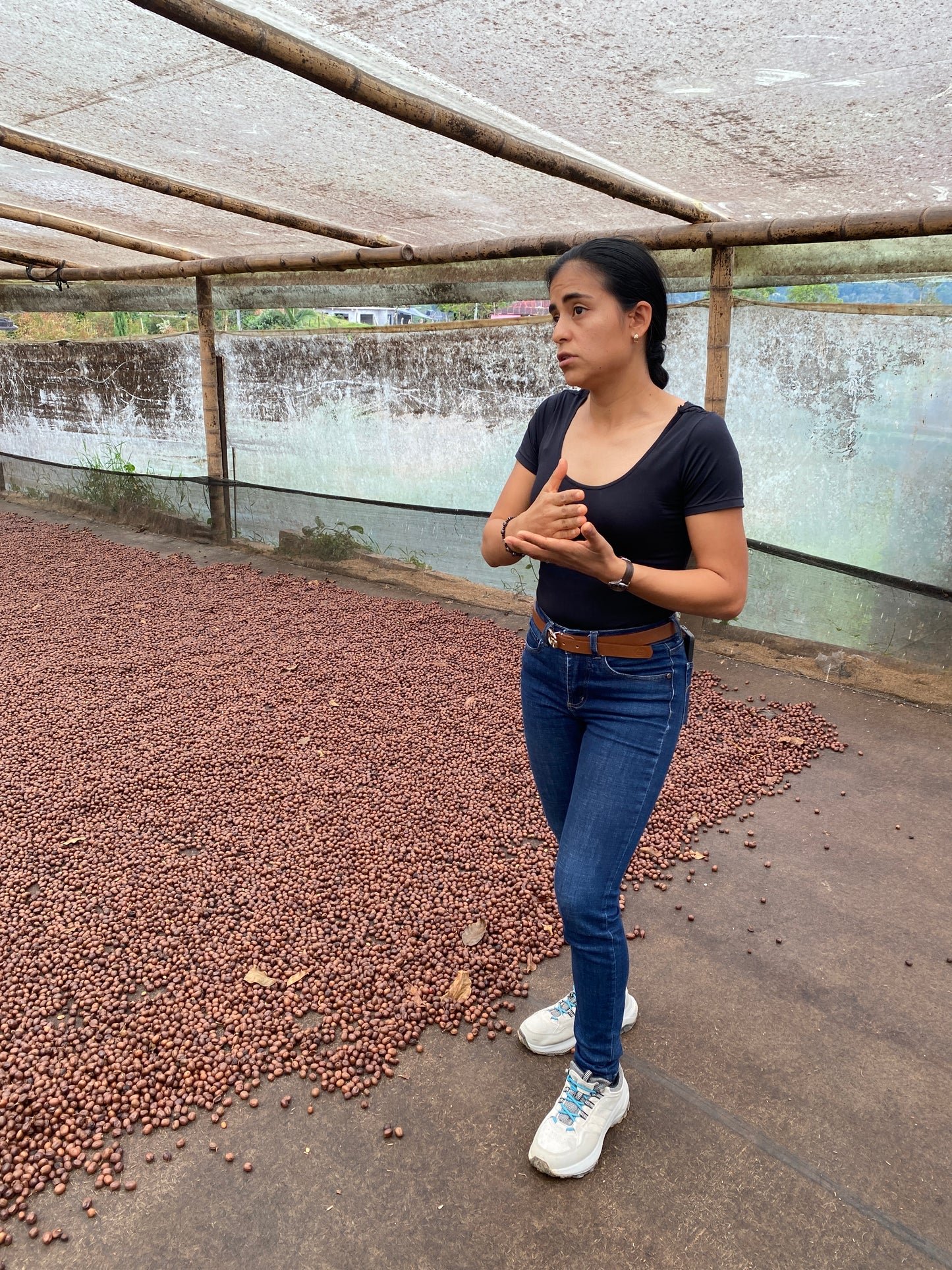 XMAS ESPRESSO Kolumbia, Finca Villa Pastora