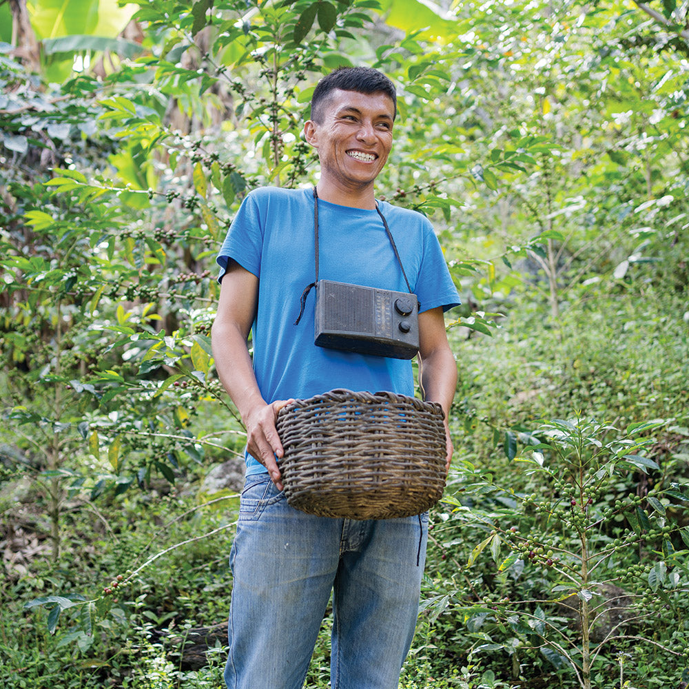 Peru Nº7, La Pluma Dorada, Washed