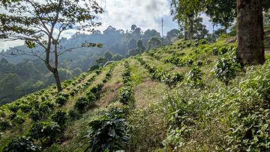 Relacja z naszej wyprawy do Kolumbii 🇨🇴