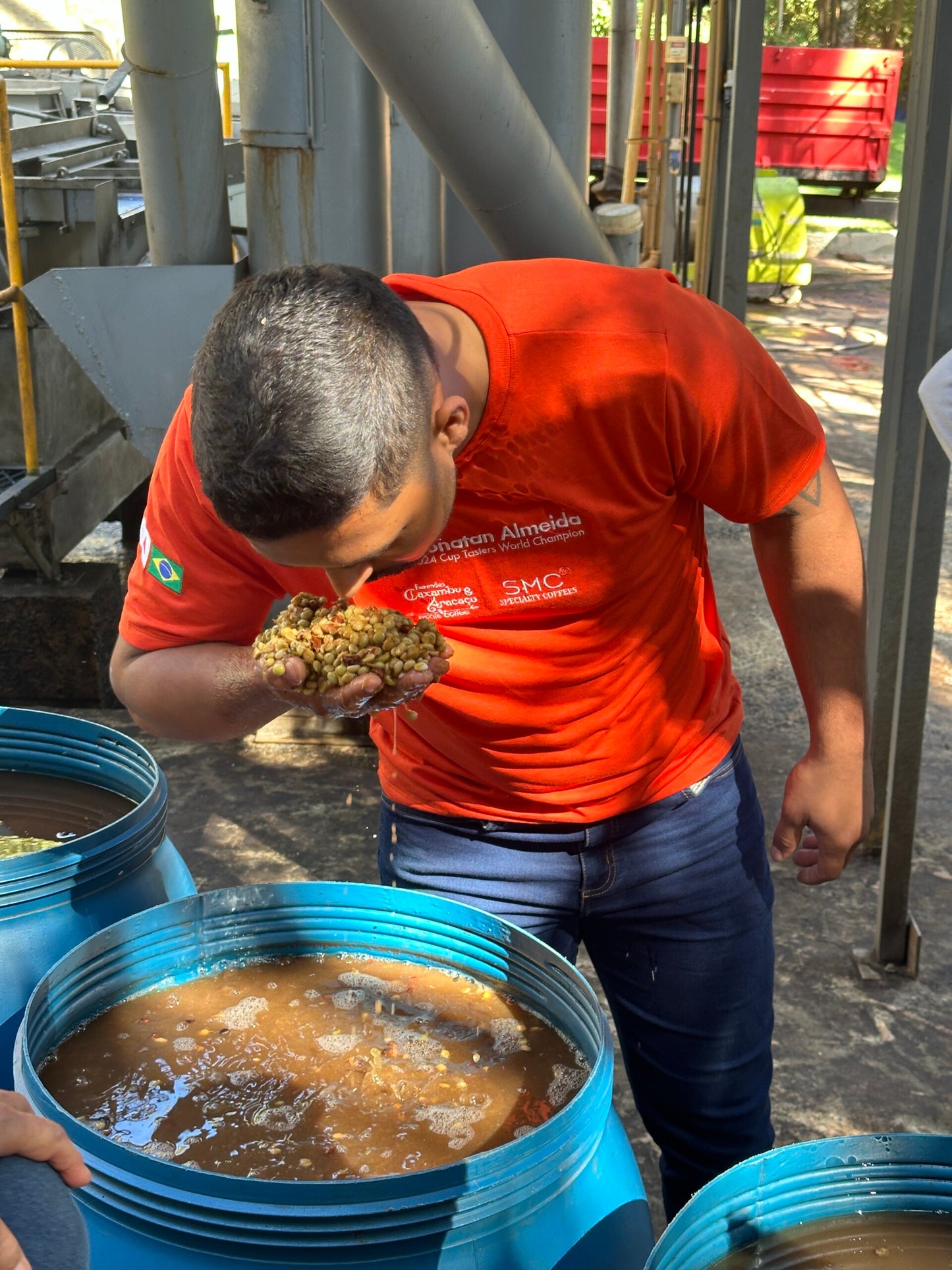 Kawa Ziarnista Specialty - Brazylia Nº5, Sitio Da Torre, Yeast Fermentation