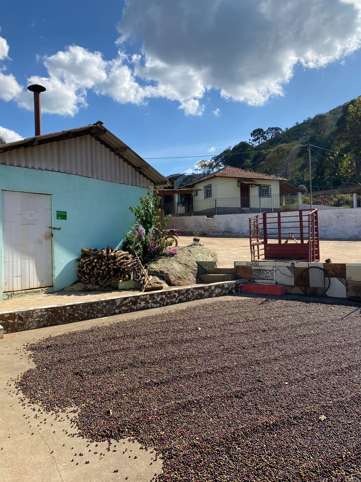 Kawa Ziarnista Specialty - Climber Espresso – Brazylia, Fazenda Sertaozinho
