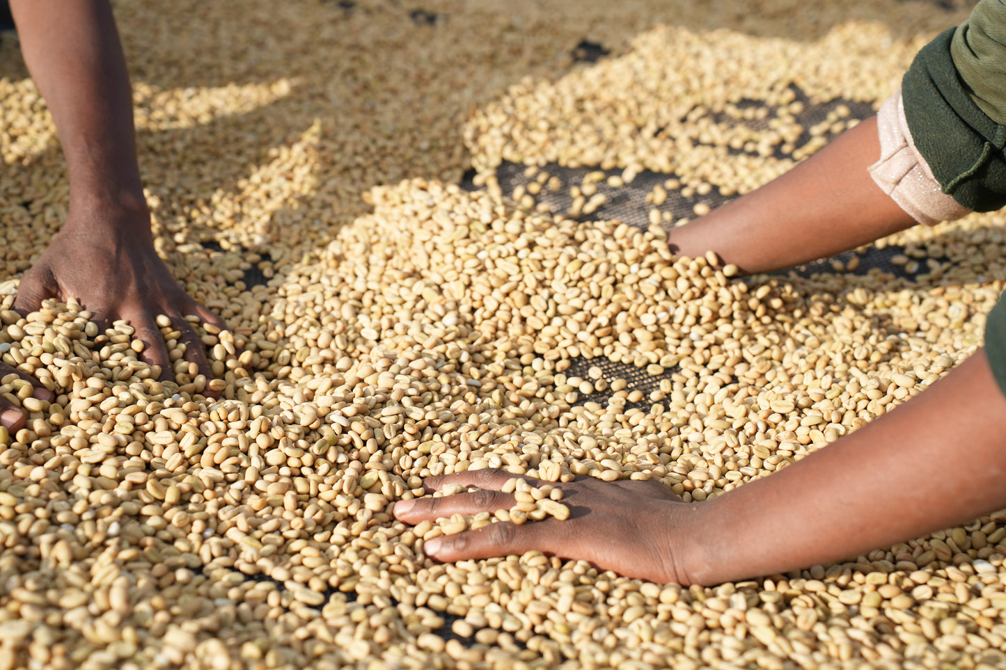 Etiopia Nº14, Boreta, Natural