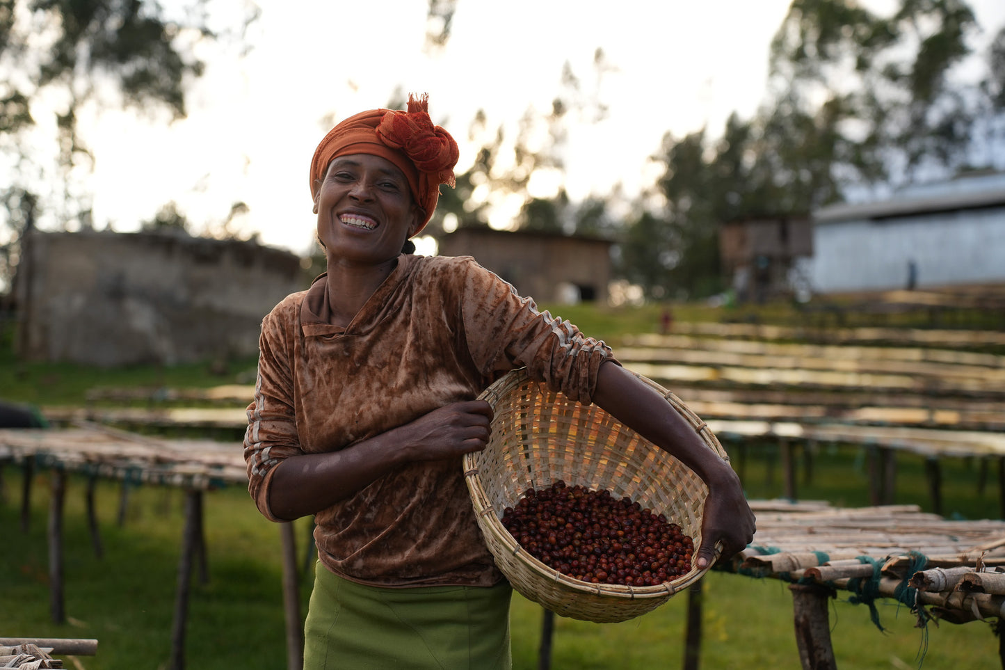 Etiopia Nº14, Boreta, Natural