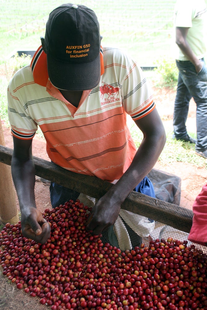 Burundi Nº3, Kibingo, Natural