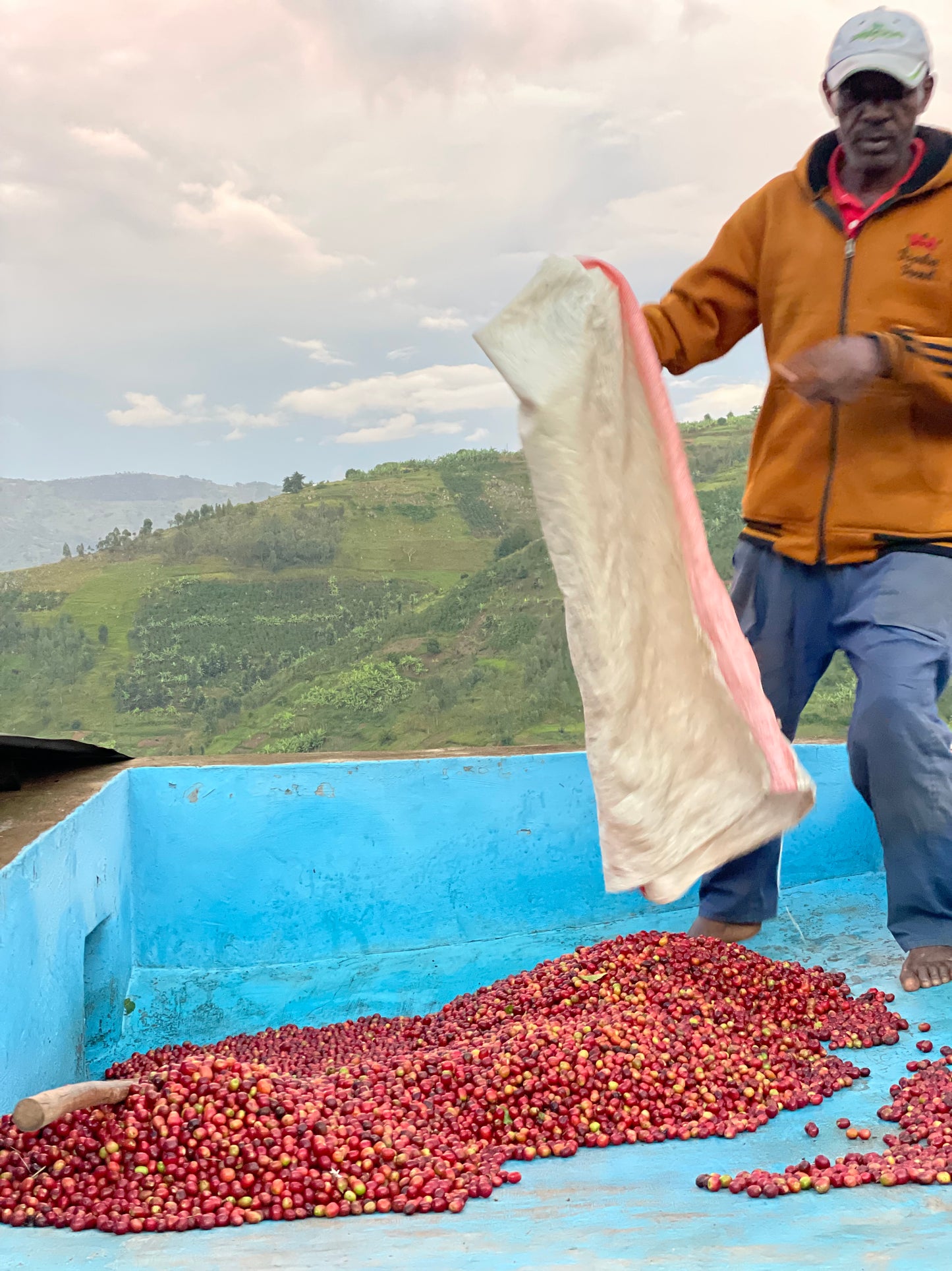 Kawa Ziarnista Specialty - ĆWIR SPRING ESPRESSO Rwanda, Ruli CWS