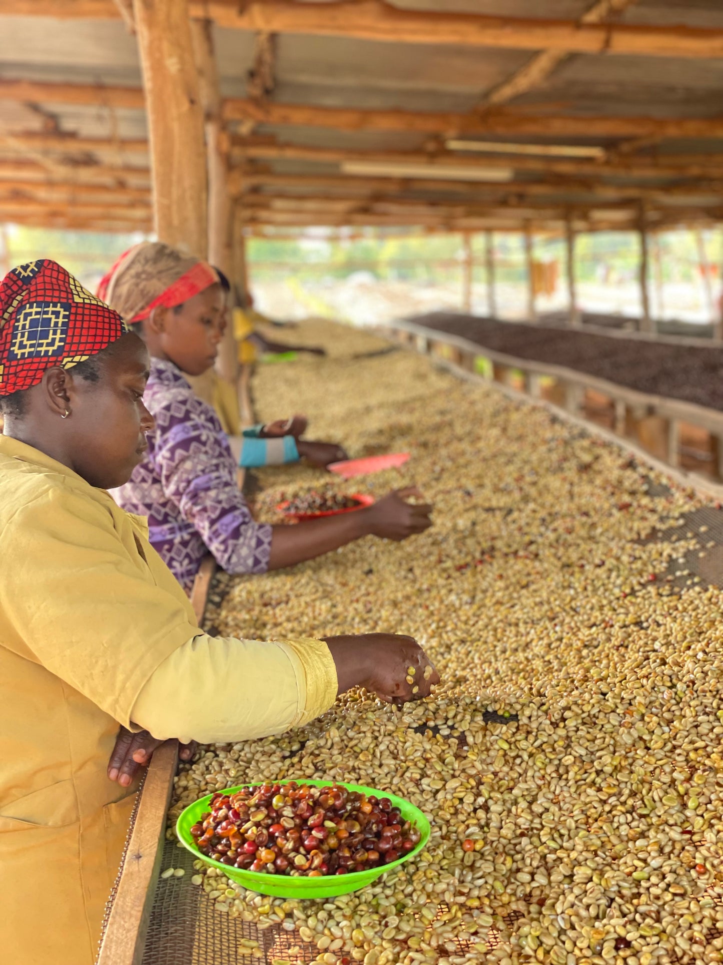 Rwanda Nº6, Rubyiniro Hill, Washed