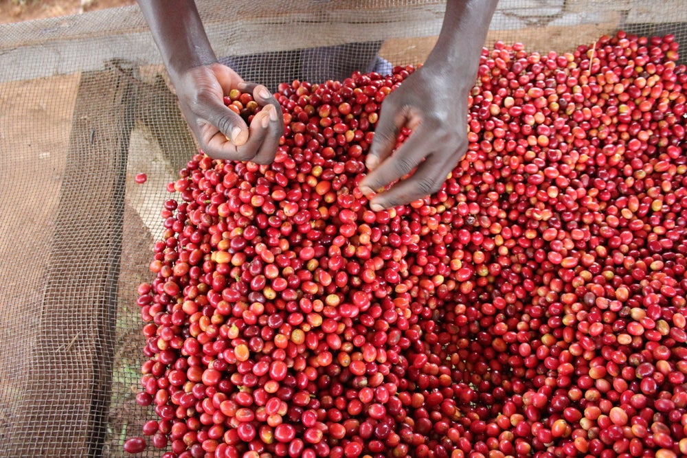 Burundi Nº3, Kibingo, Natural