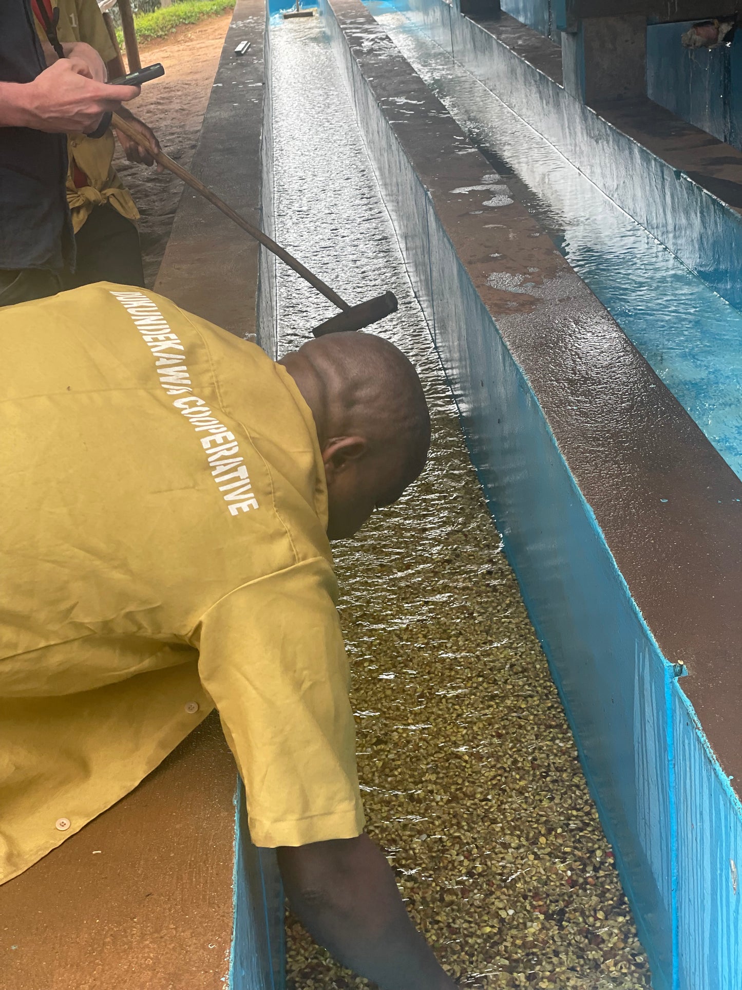 Rwanda Nº6, Rubyiniro Hill, Washed