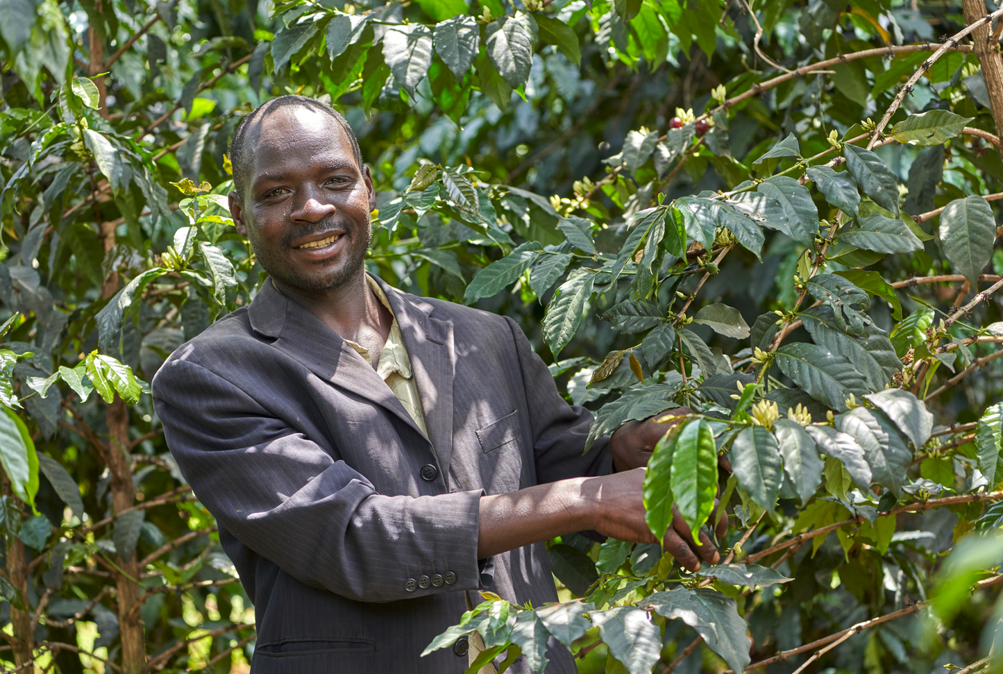 BRRR WINTER ESPRESSO Uganda, Gibuzale