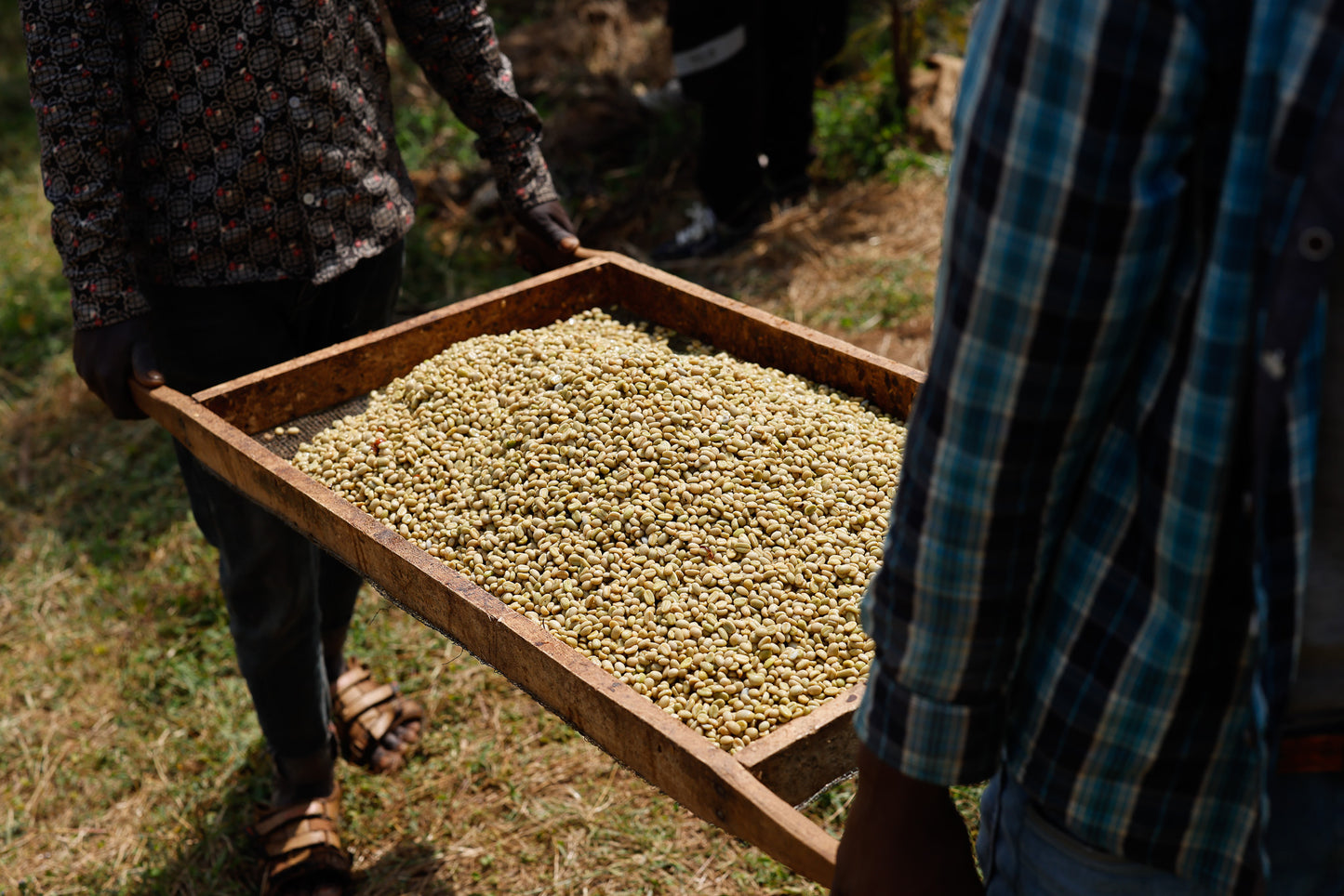 Etiopia Nº13, Buncho, Washed