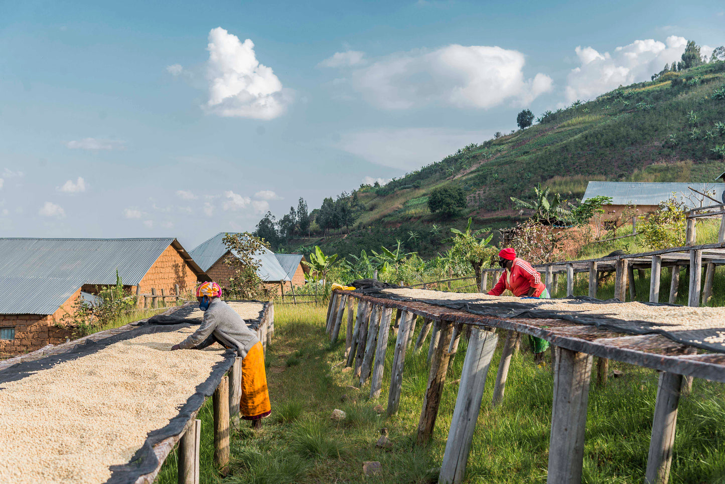 Rwanda Nº7, Musasa Nkara, Anaerobic Natural