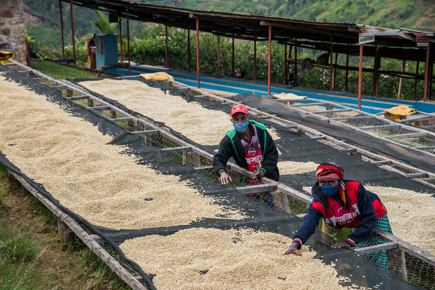 Rwanda Nº7, Musasa Nkara, Anaerobic Natural