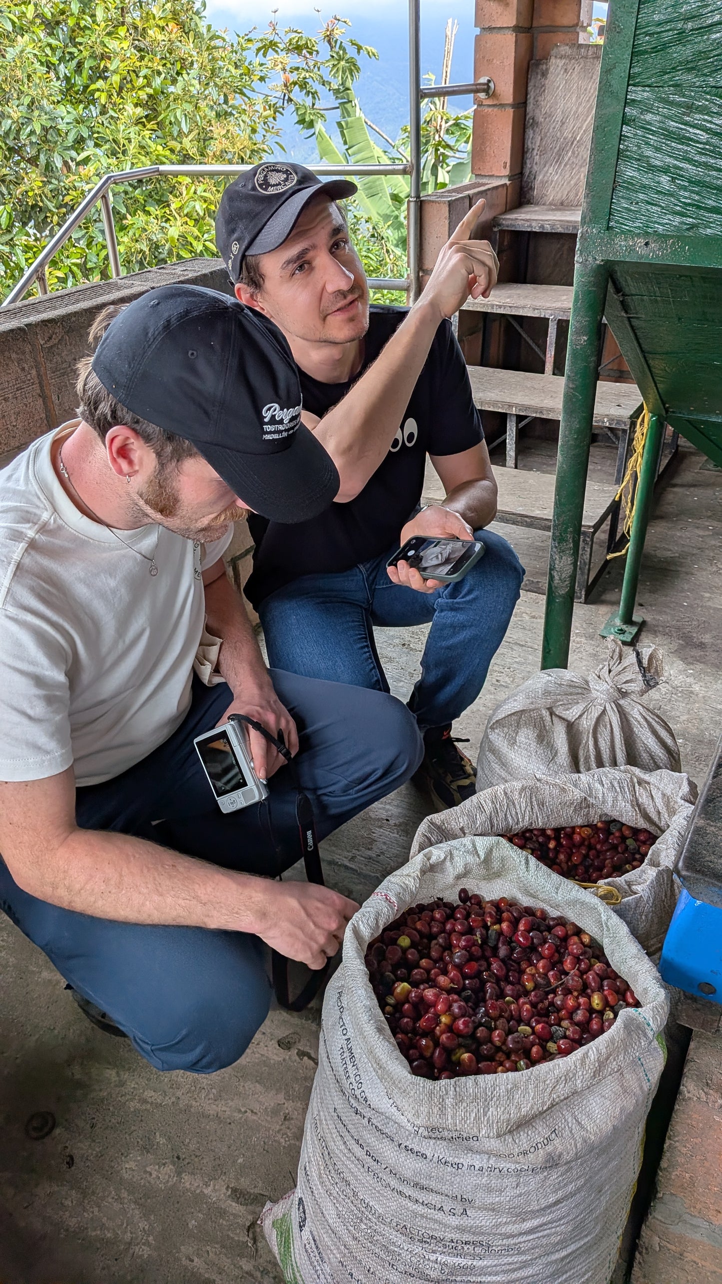 Kawa Ziarnista Specialty - Kolumbia Nº15, Finca Los Alpes, Washed