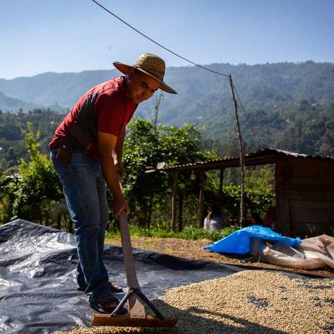 KAPKAP AUTUMN ESPRESSO Gwatemala, Finca Tzun Witz
