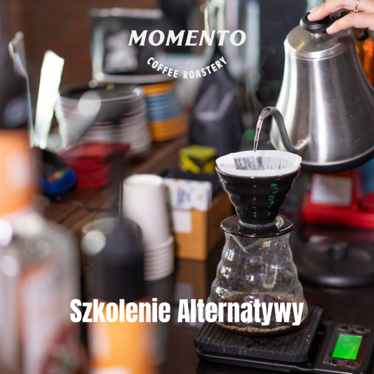 Szkolenie Alternatywy